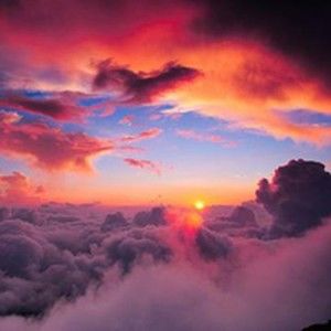 Meet your Posher, Wayne